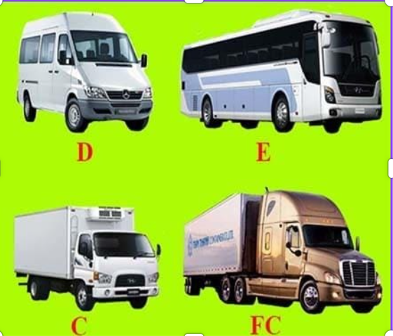 NÂNG HẠNG C-D-E-FC/E